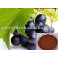 Herbal extract Grape Skin extract (30% Proanthocyanidins,30%Polyphenols)